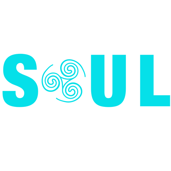 Soul Store ECU